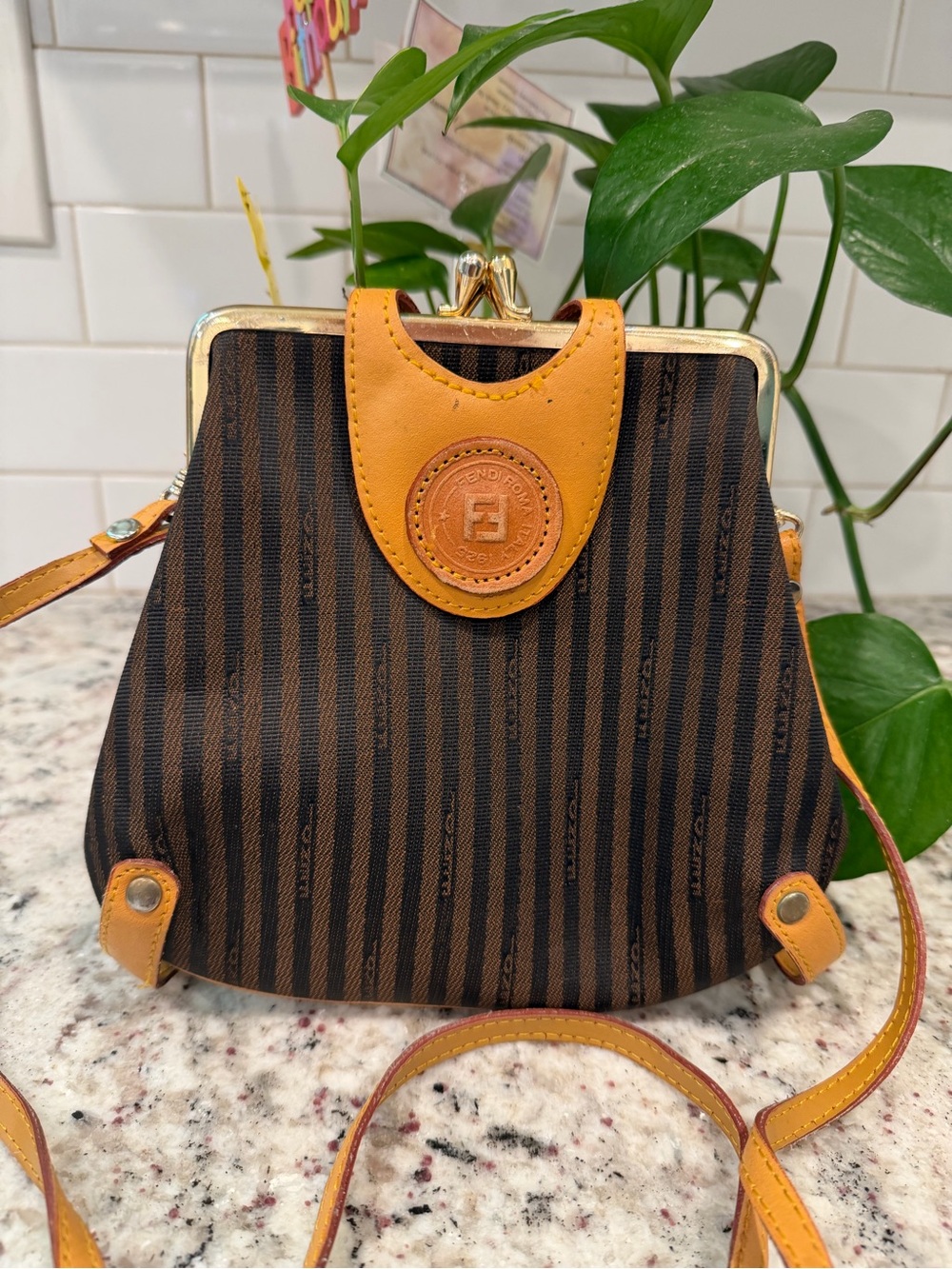 Fendi Brown & Tan Striped Canvas Kiss-Lock Crossbody